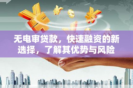仁怀无电审贷款，快速融资的新选择，了解其优势与风险