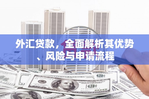 仁怀外汇贷款，全面解析其优势、风险与申请流程