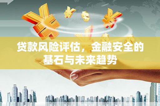仁怀贷款风险评估，金融安全的基石与未来趋势