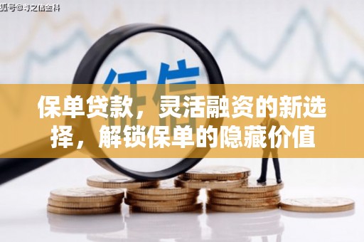 仁怀保单贷款，灵活融资的新选择，解锁保单的隐藏价值