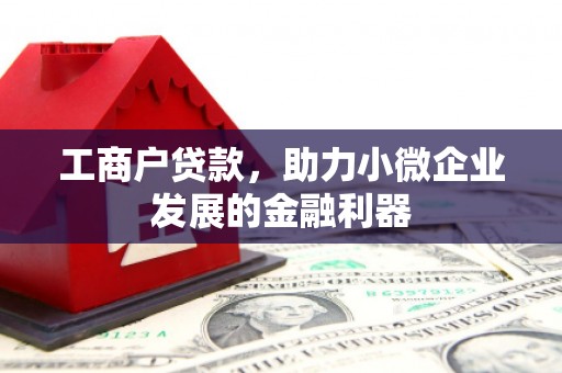 仁怀工商户贷款，助力小微企业发展的金融利器