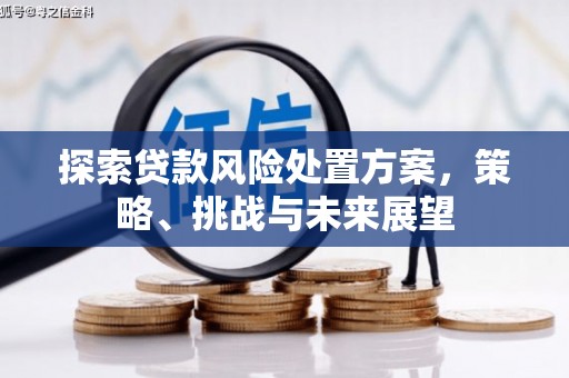 仁怀探索贷款风险处置方案，策略、挑战与未来展望
