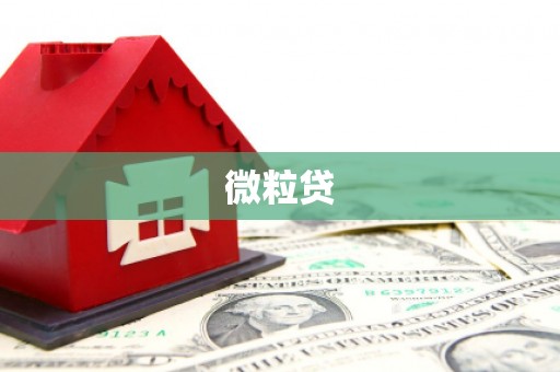 仁怀微粒贷