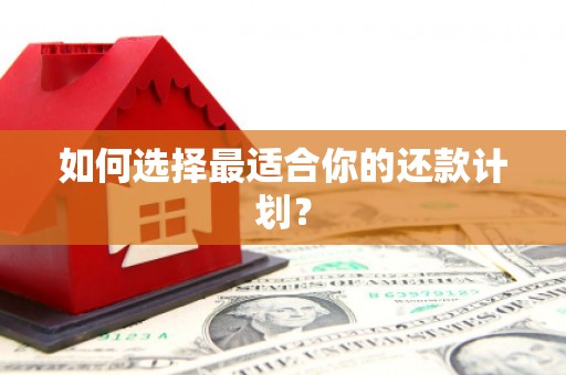 仁怀如何选择最适合你的还款计划？