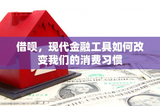 仁怀借呗，现代金融工具如何改变我们的消费习惯