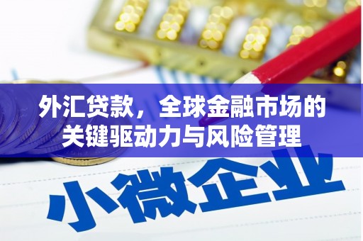 仁怀外汇贷款，全球金融市场的关键驱动力与风险管理