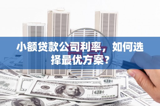 仁怀小额贷款公司利率，如何选择最优方案？