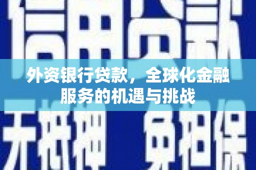 仁怀外资银行贷款，全球化金融服务的机遇与挑战