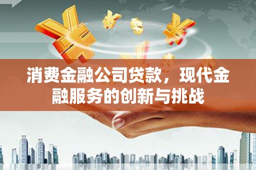 仁怀消费金融公司贷款，现代金融服务的创新与挑战