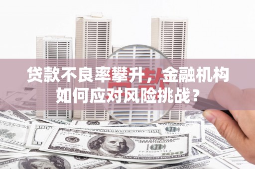 仁怀贷款不良率攀升，金融机构如何应对风险挑战？