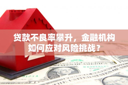仁怀贷款不良率攀升，金融机构如何应对风险挑战？
