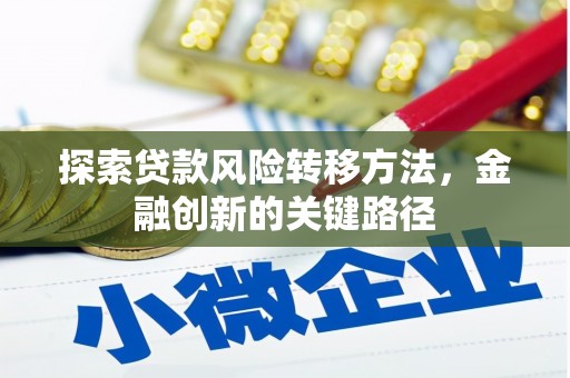 仁怀探索贷款风险转移方法，金融创新的关键路径