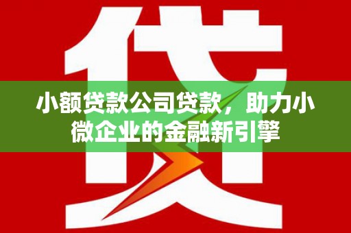 仁怀小额贷款公司贷款，助力小微企业的金融新引擎