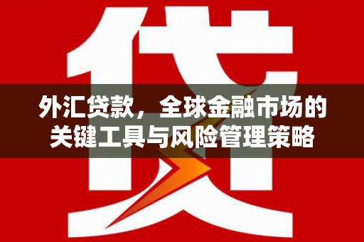 仁怀外汇贷款，全球金融市场的关键工具与风险管理策略