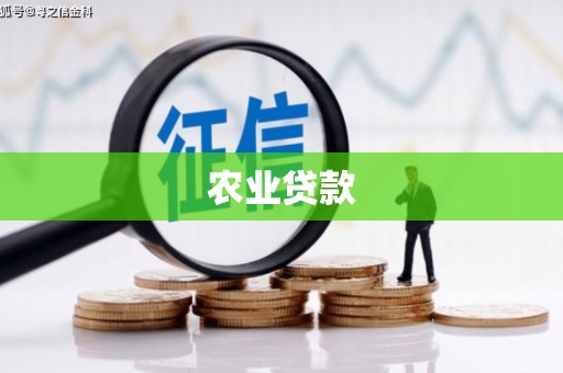 仁怀农业贷款