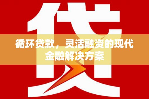 仁怀循环贷款，灵活融资的现代金融解决方案