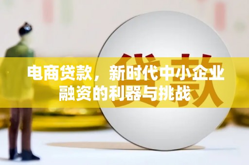仁怀电商贷款，新时代中小企业融资的利器与挑战
