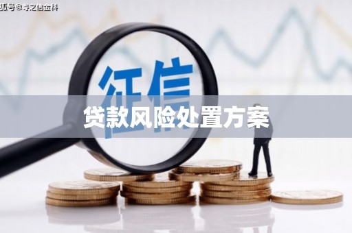 仁怀贷款风险处置方案