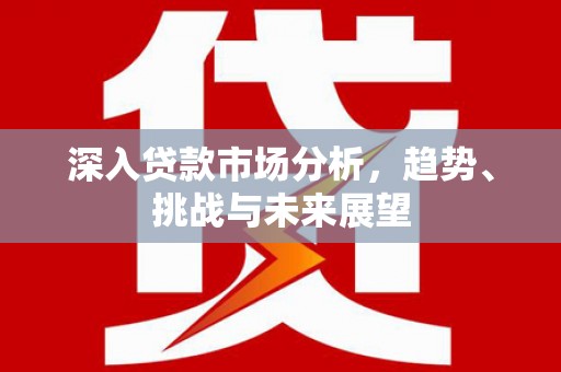 仁怀深入贷款市场分析，趋势、挑战与未来展望