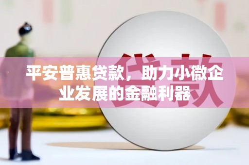 仁怀平安普惠贷款，助力小微企业发展的金融利器