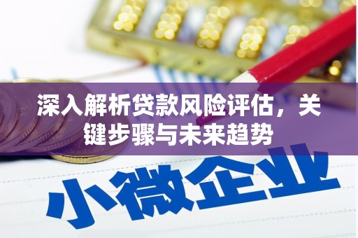仁怀深入解析贷款风险评估，关键步骤与未来趋势