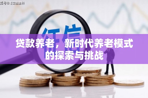 仁怀贷款养老，新时代养老模式的探索与挑战