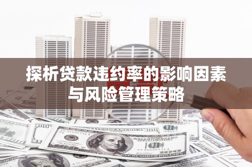仁怀探析贷款违约率的影响因素与风险管理策略