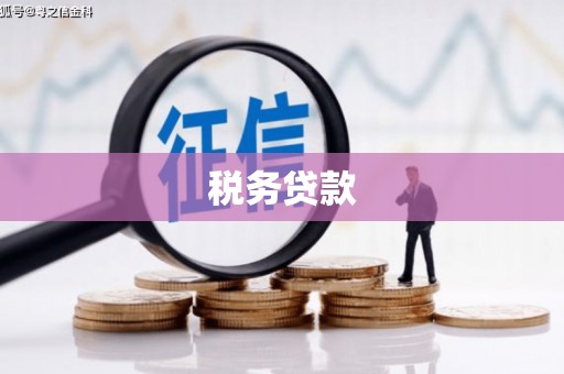 仁怀税务贷款