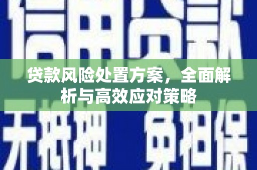 仁怀贷款风险处置方案，全面解析与高效应对策略
