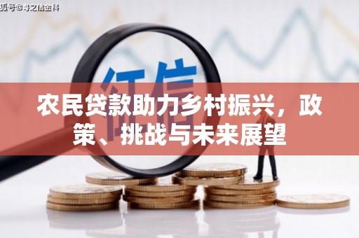 仁怀农民贷款助力乡村振兴，政策、挑战与未来展望