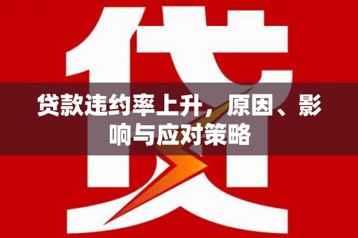 仁怀贷款违约率上升，原因、影响与应对策略