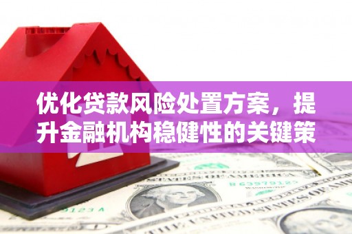 仁怀优化贷款风险处置方案，提升金融机构稳健性的关键策略