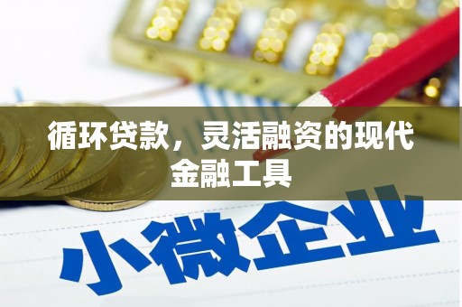 仁怀循环贷款，灵活融资的现代金融工具