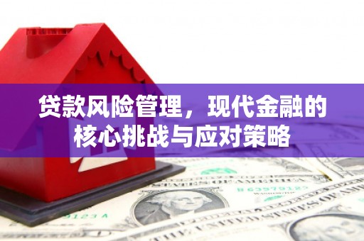 仁怀贷款风险管理，现代金融的核心挑战与应对策略