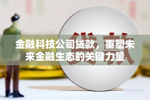 仁怀金融科技公司贷款，重塑未来金融生态的关键力量