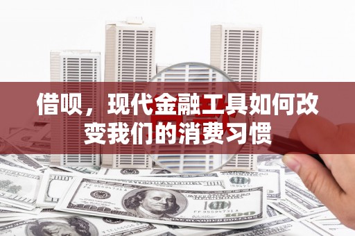 仁怀借呗，现代金融工具如何改变我们的消费习惯