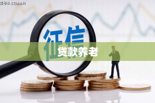 仁怀贷款养老
