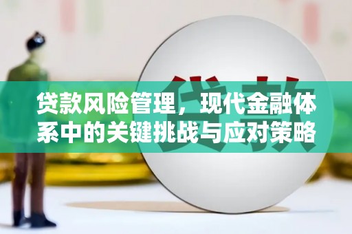 仁怀贷款风险管理，现代金融体系中的关键挑战与应对策略