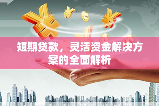 仁怀短期贷款，灵活资金解决方案的全面解析