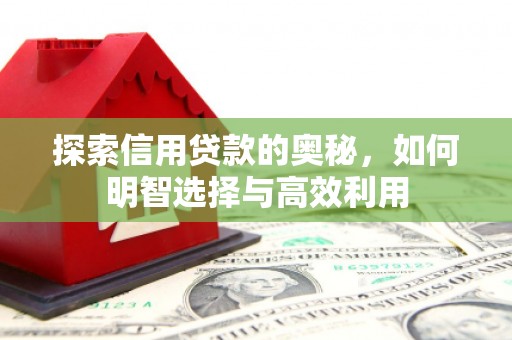 仁怀探索信用贷款的奥秘，如何明智选择与高效利用