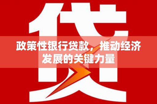 仁怀政策性银行贷款，推动经济发展的关键力量