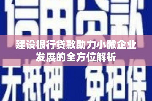 仁怀建设银行贷款助力小微企业发展的全方位解析