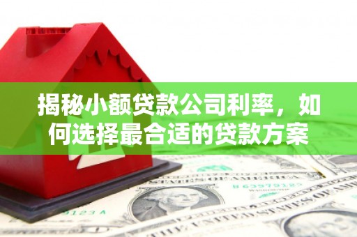 仁怀揭秘小额贷款公司利率，如何选择最合适的贷款方案