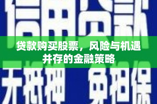 仁怀贷款购买股票，风险与机遇并存的金融策略