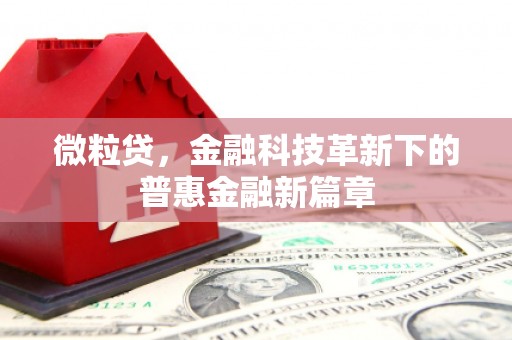 仁怀微粒贷，金融科技革新下的普惠金融新篇章