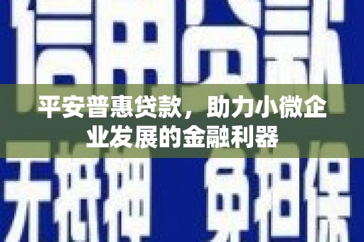 仁怀平安普惠贷款，助力小微企业发展的金融利器