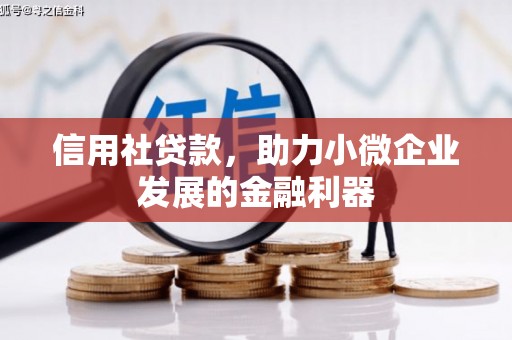 仁怀信用社贷款，助力小微企业发展的金融利器