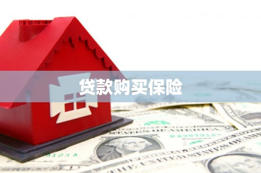 仁怀贷款购买保险