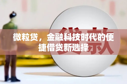 仁怀微粒贷，金融科技时代的便捷借贷新选择