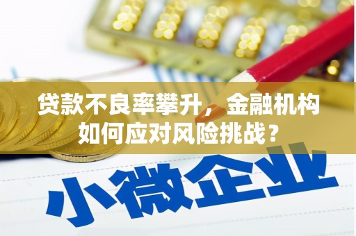 仁怀贷款不良率攀升，金融机构如何应对风险挑战？